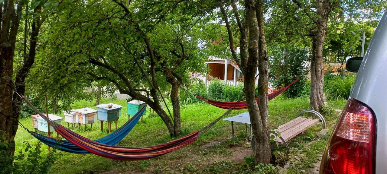 Bees Guesthouse Μέστια Εξωτερικό φωτογραφία